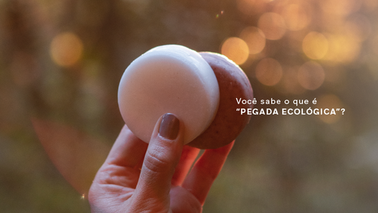 Você sabe o que é Pegada ecológica? - Ziel Natural Cosmetics