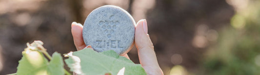 Blog sobre Beleza Sustentável - Ziel Natural Cosmetics