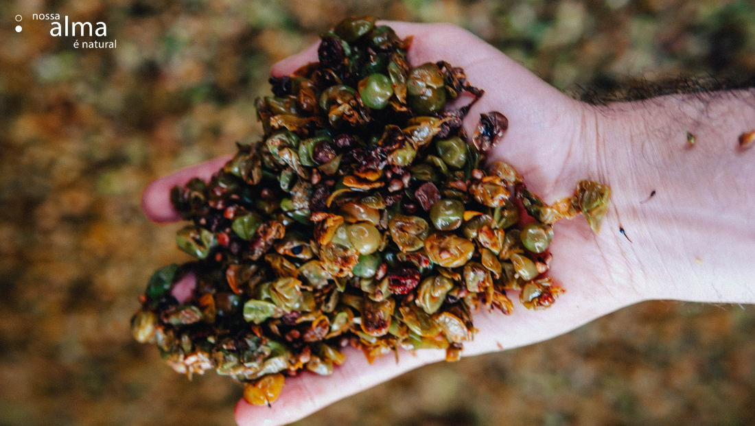 Descubra o conceito de ZeroWaste Beauty