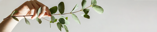 Minimalismo - Ziel Natural Cosmetics