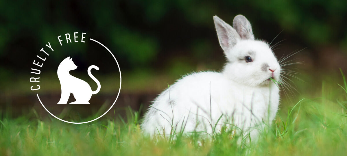 Banner produto sem teste em animais