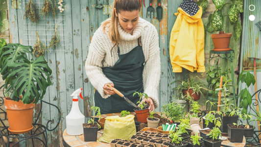 Terapia da jardinagem: Descubra os benefícios para a saúde mental, física e social - Ziel Natural Cosmetics