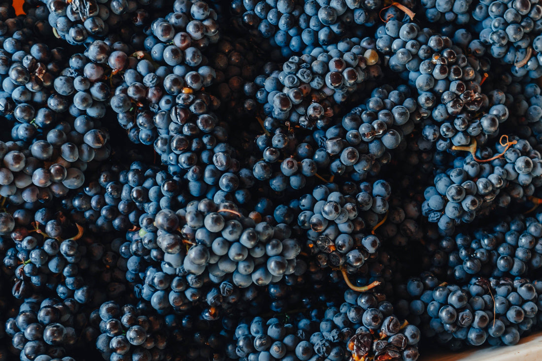 Resveratrol: o que é, para que serve e como age na pele
