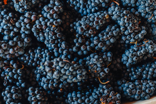 Resveratrol: o que é, para que serve e como age na pele